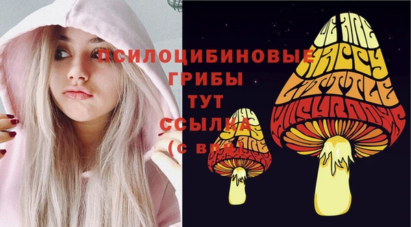 a pvp Бутурлиновка