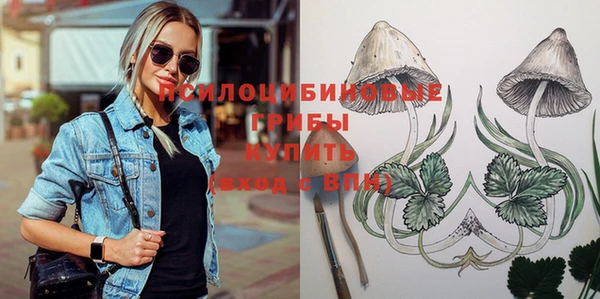 MESCALINE Нефтекумск